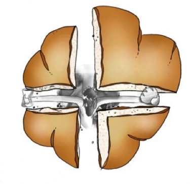 Hay que morir para dar vida...