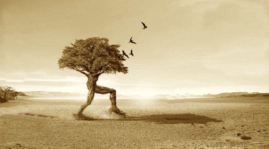 Si tuvieran fe dirían: ¡Arráncate de raíz y plántate en el mar!